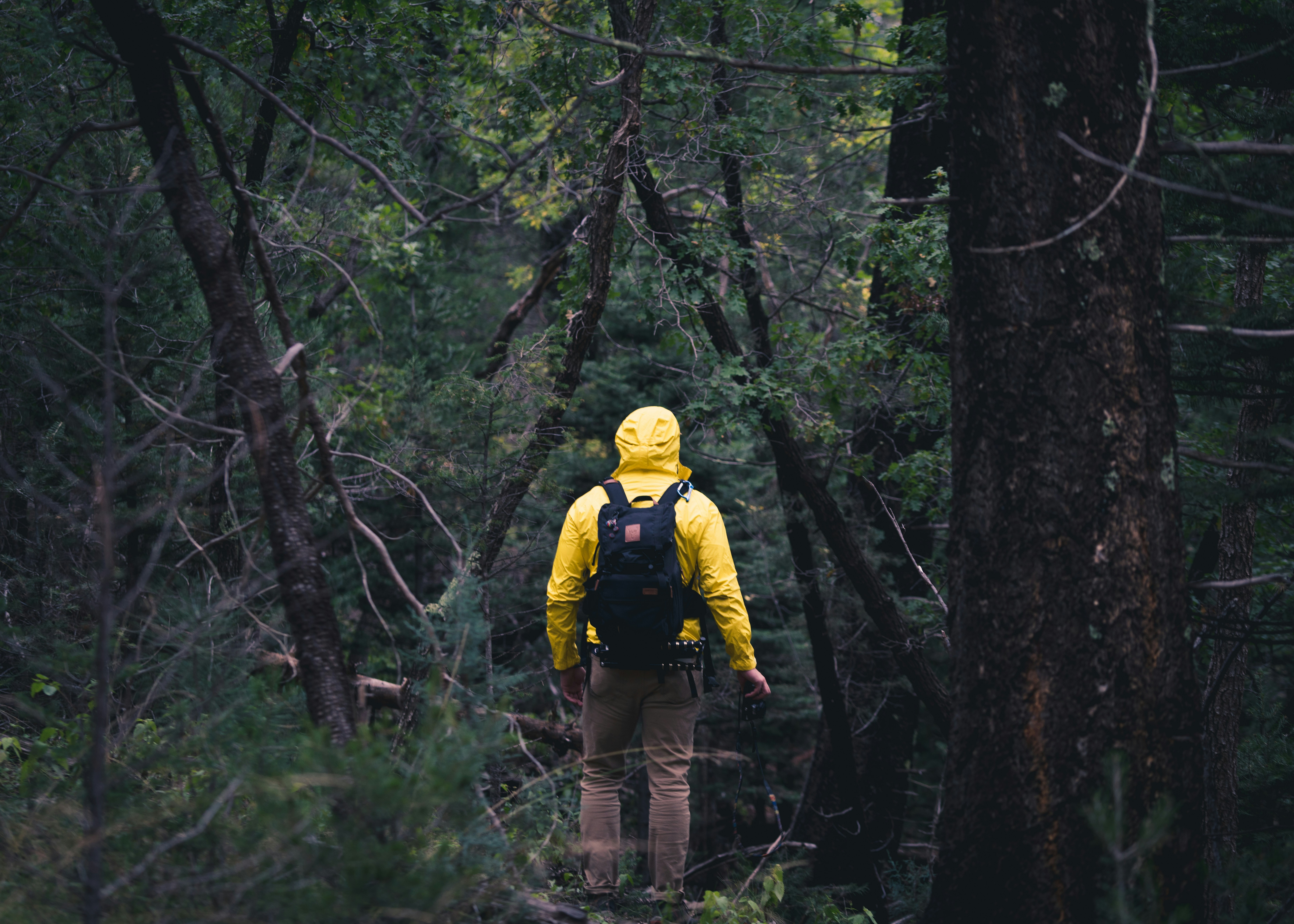 The Wellness Way: Giving Your Health a Kinder Story