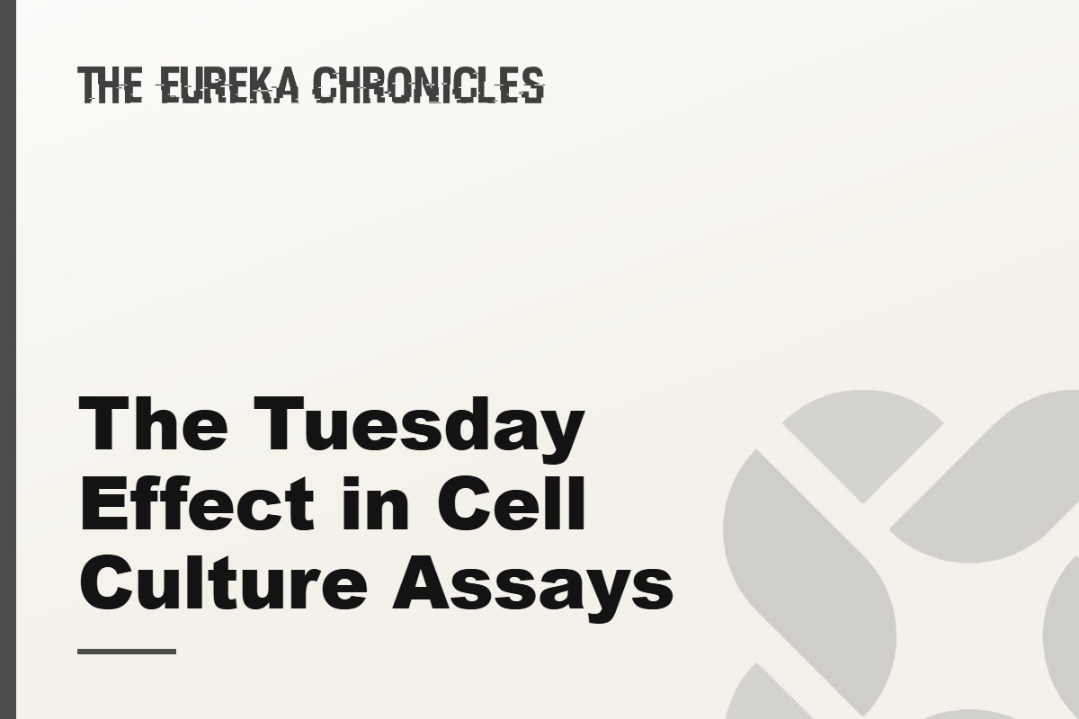The Tuesday Effect in Cell Culture Assays