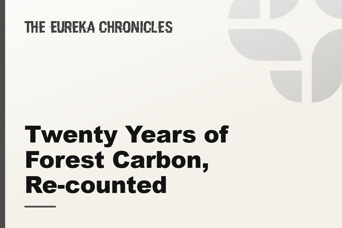 Twenty Years of Forest Carbon, Re-counted
